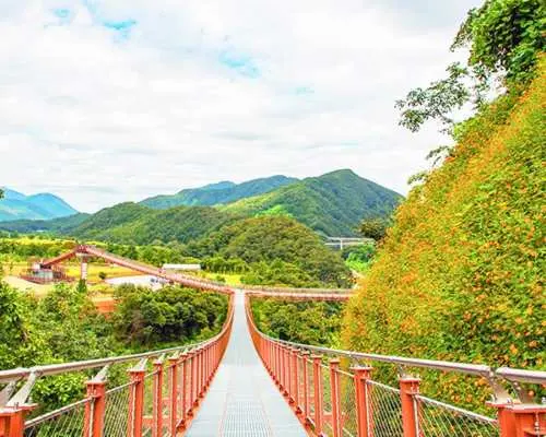 抱川專屬私人包車一日遊｜Y吊橋天空步道刺激體驗・藝術谷文藝秘境・香草島自然漫遊｜首爾出發