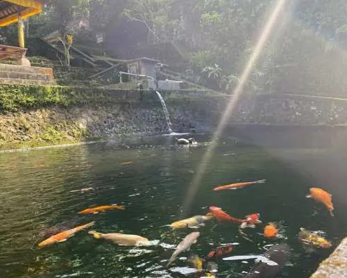 ทัวร์ชำระล้างและบำบัดร่างกายที่บาหลี | อินโดนีเซีย