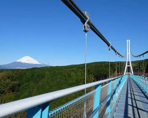 Shinmei Fireworks Festival 2-Day/1-Night Sightseeing Bus Tour with Sunflower Fields & Mt. Fuji Sightseeing (Departure from Shinjuku)