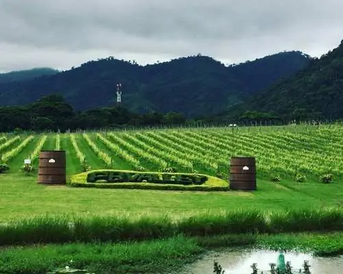 Private Charter | Bangkok  to Khao Yai