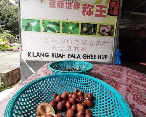ทัวร์ชมพระอาทิตย์ขึ้นบนเนินเขาปีนังและตลาดท้องถิ่น พร้อมบริการรับส่งจากโรงแรม