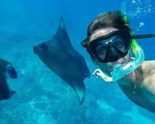 ดำน้ำตื้นที่เกาะบาหลี Nusa Penida Manta & ทัวร์เกาะตะวันตก | ออกเดินทางจากบาหลี