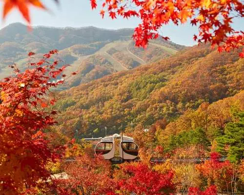 【期間限定オファー：2名様で599香港ドルから、1名様無料】韓国紅葉日帰り日帰りツアー｜花潭の森の紅葉隠れスポット＋Nソウルタワーの夕日撮影スポット＋人気のアートビューティーメイクアップストア｜花潭の森入場料＋特製しゃぶしゃぶランチ付き｜10月～11月ソウル発の期間限定秋季旅行｜1名様から催行