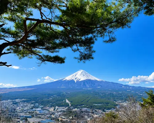 日本富士山全景一日遊｜富士山五合目・天上山公園・忍野八海・河口湖大石公園・新倉山淺間公園｜東京出發
