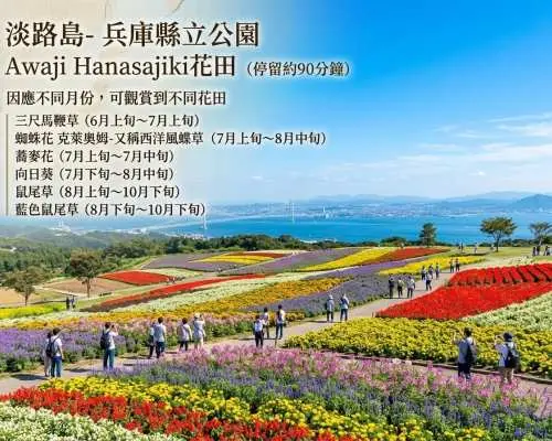 【限時特惠 買一送一｜低至HK$999兩位】淡路島賞花親親樹熊一天團｜英格蘭之丘動物公園・淡路花海・巨型洋蔥打卡・大鳴門橋絕景｜中文導遊同行｜夏日限定7-9月 大阪出發