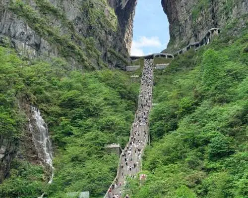 天門山日帰りツアー