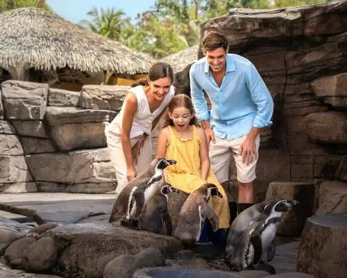 Bali Marine Safari Adventure | Interactive Marine Life Experience | Departure from Bali