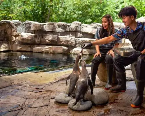 Bali Marine Safari Adventure | Interactive Marine Life Experience | Departure from Bali