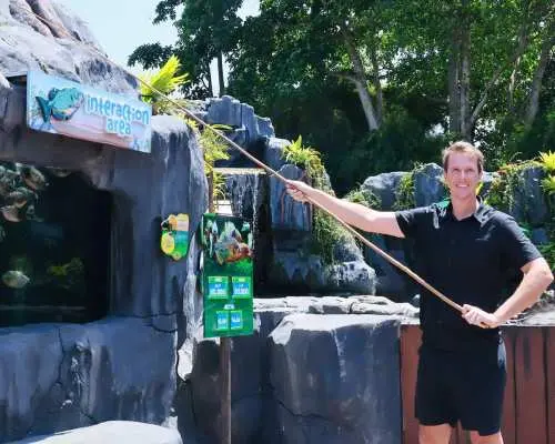 Bali Marine Safari Adventure | Interactive Marine Life Experience | Departure from Bali