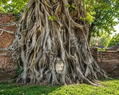 Ayutthaya Private Charter from Bangkok | Thailand