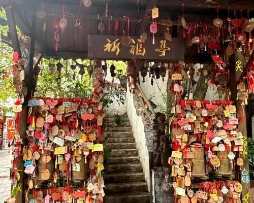 深圳欢乐体验游包车一日游