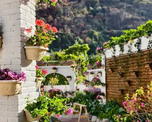 Panzhihua, China | Panzhihua Private Private charter car One-Day Tour | Multi-Day Independent Private charter car Private Car Service | Business Private charter car Service