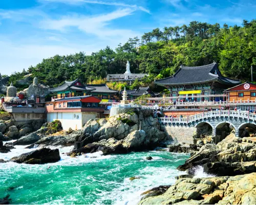 韓國釜山 海東龍宮寺 ● 百層天空展望台 ● 冬柏島 ● 廣安大橋景觀 | 包車半日遊【酒店接送】