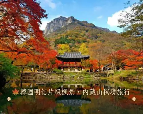 韓国の紅葉隠れた名所を巡る1日ツアー：期間限定で1名様無料！ | お一人様わずか399.5香港ドルから |白羊寺＆成烈楼＋内蔵山三段楓公園 | 韓国オメガセ市場の新鮮な食材を使った料理 | 11月ソウル発
