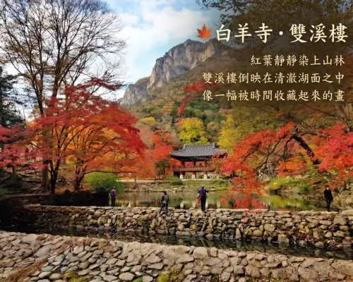 韓国の紅葉隠れた名所を巡る1日ツアー：期間限定で1名様無料！ | お一人様わずか399.5香港ドルから |白羊寺＆成烈楼＋内蔵山三段楓公園 | 韓国オメガセ市場の新鮮な食材を使った料理 | 11月ソウル発