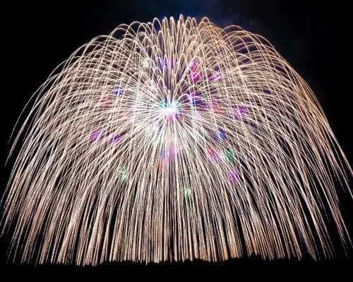【含指定座位】片谷祭四尺玉煙火表演及湯澤高原觀光，苗場王子酒店，1晚2日遊，新宿站出發及抵達。