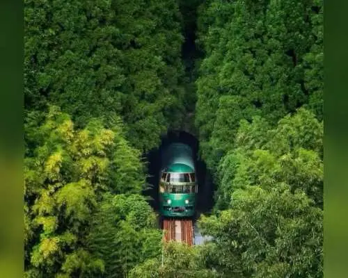 九州貸切チャーター車 日帰りツアー／複数日）｜福岡発｜由布院、阿蘇、熊本、別府｜中国語ドライバー｜カスタマイズ可能な旅程