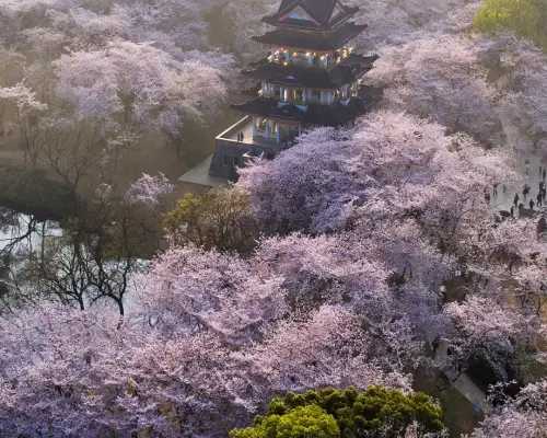 無錫太湖、元頭竹風景区、梨園、三国城を巡る2日間のチャーター貸切チャーター車