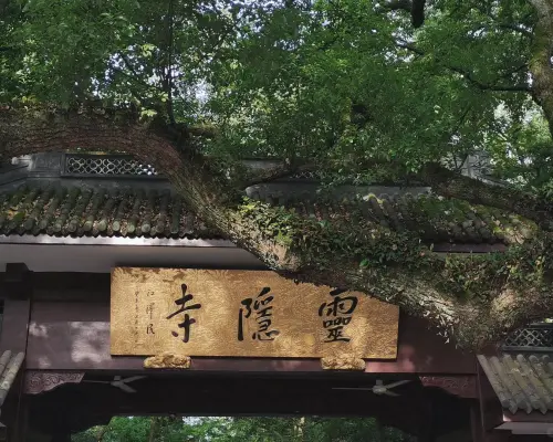 杭州美食文化游包车