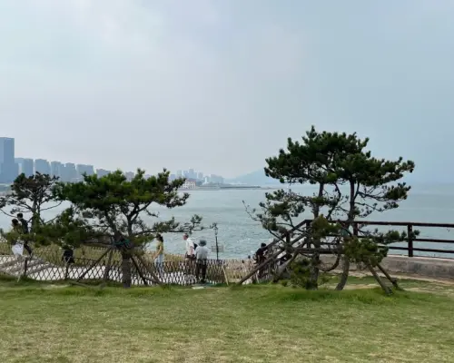 ☆【专属包车】☆|青岛海滨休闲游