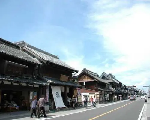 Kawagoe Day Trip Tour | Viewing Red Spider Lilies and Celosia Flower Fields | Strolling Through Kawagoe's Old Edo Warehouse District | Includes Unagi and Egg Bento Box [Departing from Shinjuku, Ueno, and Tokyo]