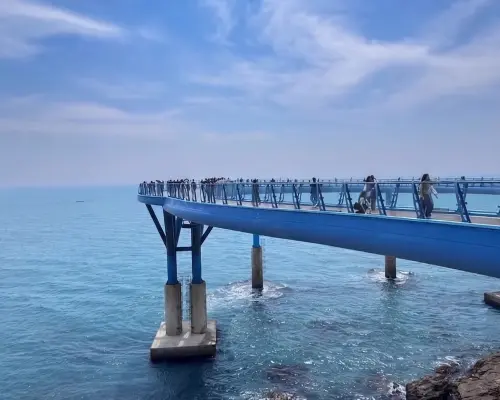 (Hotel Pick-up) Busan Small Group Tour with Guaranteed Sky Capsule Ride