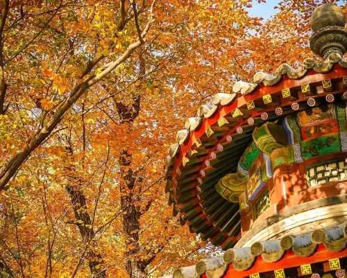 北京故宫+八达岭长城+颐和园3日游包车