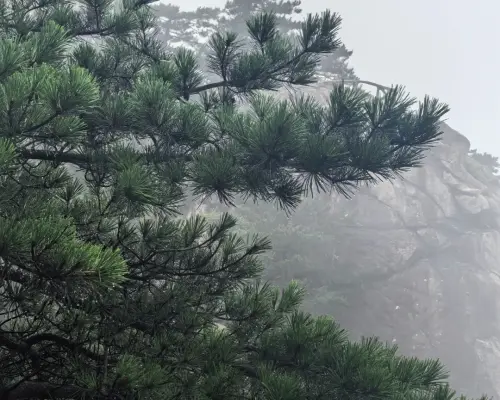 4-Day Chartered Private charter car of Hefei Tiantangzhai, Baima Grand Canyon, and Yanzihe Grand Canyon