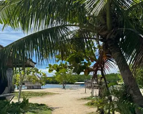 From Cebu: Olango Island Day Trip with Snorkeling & Wildlife