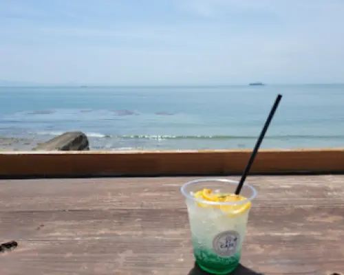 蒲郡竹岛+知多半岛海岸+海景咖啡 休闲包车一日游