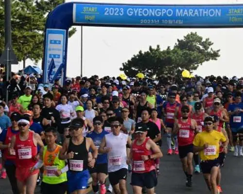 [Seoul Departure] 2026 Gangneung Gyeongpo Marathon 2 Days 1 Night Tour
