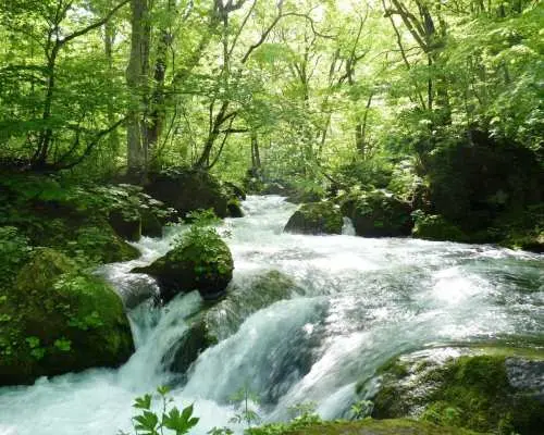 Two-day tour of Tohoku, Japan | Visiting 8 popular scenic spots including Oirase Gorge, Lake Towada, Aoiike Pond, and the Gono Line | Overnight stay at a hot spring hotel | Departure from Tokyo