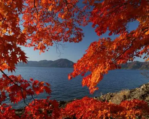 青森秋田岩手｜奥入瀬渓流・角館・十和田湖・田沢湖・松川渓谷｜紅葉5景巡り2日間【東京発】
