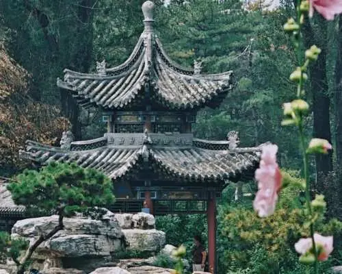 【专属包车】|中国太原包车半日/一日游｜可自行DIY行程｜海量车型可选｜行程可自与客服商讨｜纯包车服务
