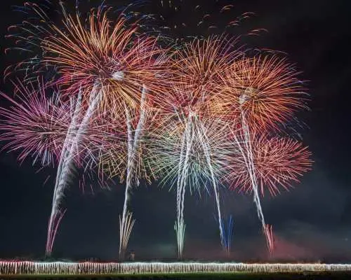 Ashikaga Fireworks Festival Day Trip Bus Tour (Departing from and returning to Tokyo)