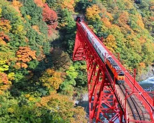 【紅葉列車巡り】トロッコ電車＆黒部峡谷＆只見線含む5つのローカル鉄道満喫の旅３日間【大阪発】