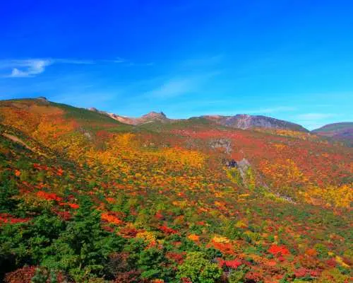 東北紅葉ツアー2日間｜日本百名山「安達太良山」｜栗駒山ハイキング｜鳴子温泉【東京発】