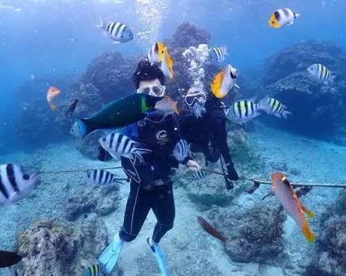 Saipan Laolao Beach Turtle Experience Diving