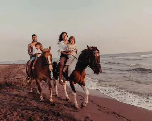 2-Hour Horse Riding Marsa Alam With Desert and Sea Views
