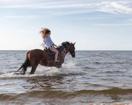 2-Hour Horse Riding Marsa Alam With Desert and Sea Views