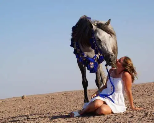 2-Hour Horse Riding Marsa Alam With Desert and Sea Views