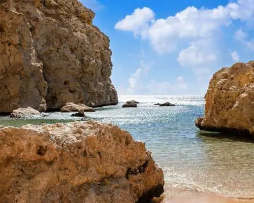 Half-Day Ras Mohammed National Park Bus Tour with Magic Lake