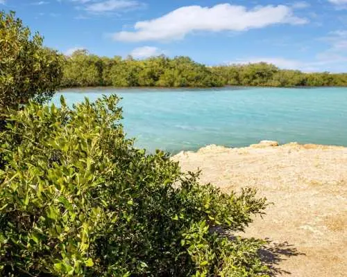 Half-Day Ras Mohammed National Park Bus Tour with Magic Lake