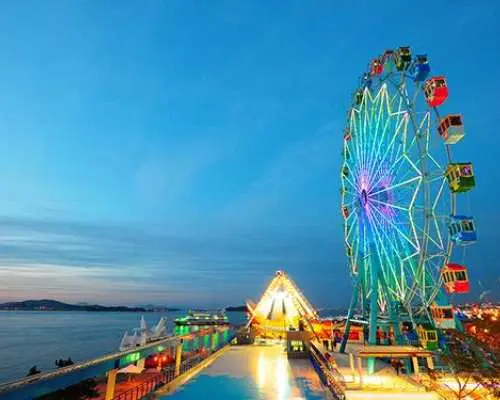 首爾及近郊私人客製包車丨南怡島·江陵·加平·春川熱門景點任選