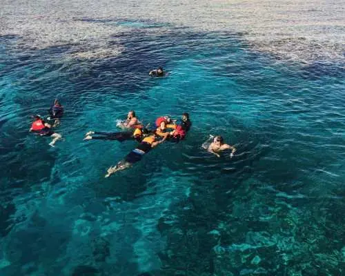 Full-Day Ras Mohammed Boat Trip with White Island Snorkeling