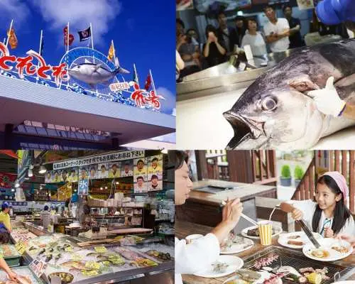 【夏季限定】日本和歌山白良滨海滩・Toretore海鲜市场・三段壁・千叠敷・圆月岛一日游｜大阪出发