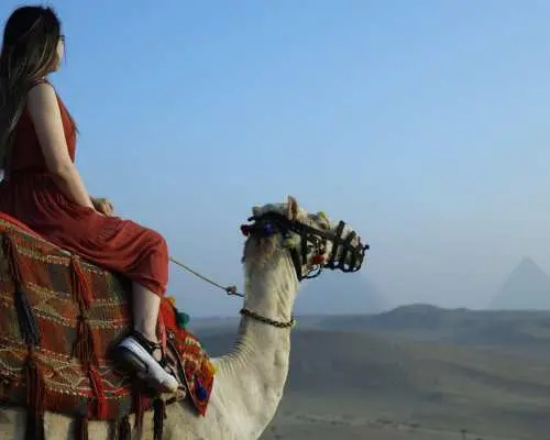 Guided Pyramids at Sunrise Tour With Camel Ride in Giza