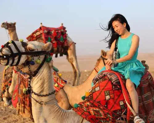 Guided Pyramids at Sunrise With Islamic and Coptic Cairo Tour
