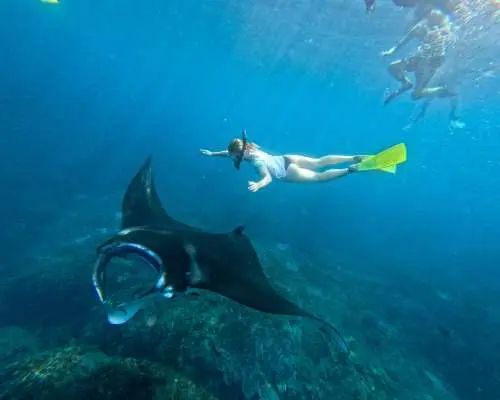 Explore Nusa Penida: Private Full-Day Island Tour with Snorkeling