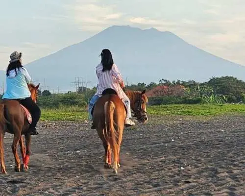 Bali : Horseback Riding Adventure with Hotel Transfer